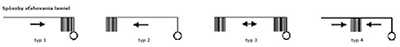 example2